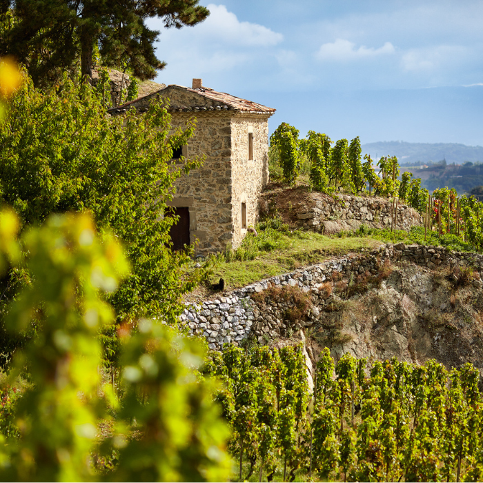 2023 Crozes-Hermitage Les Launes, Rhône, Frankreich