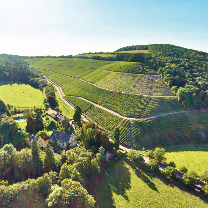 2023 Herrenberg Kabinett Riesling, Mosel, Deutschland
